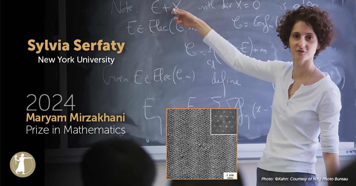 Sylvia Serfaty in front of a blackboard.